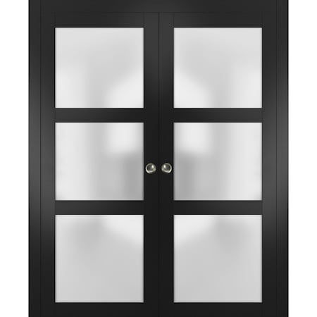Sartodoors Double Pocket Interior Door, 60" x 96", Black LUCIA2552DP-BLK-6096